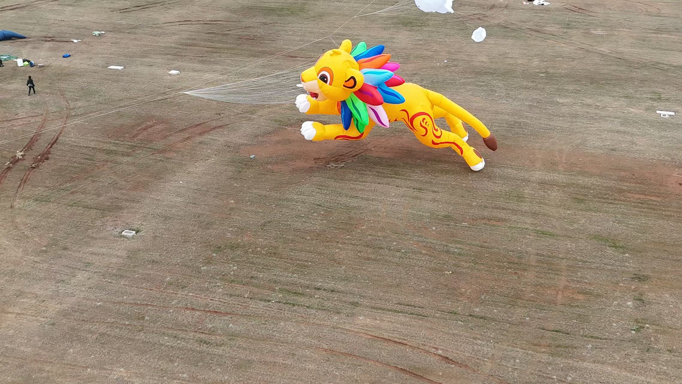临汾市品牌风筝定制风筝商业放飞 - 哪里好