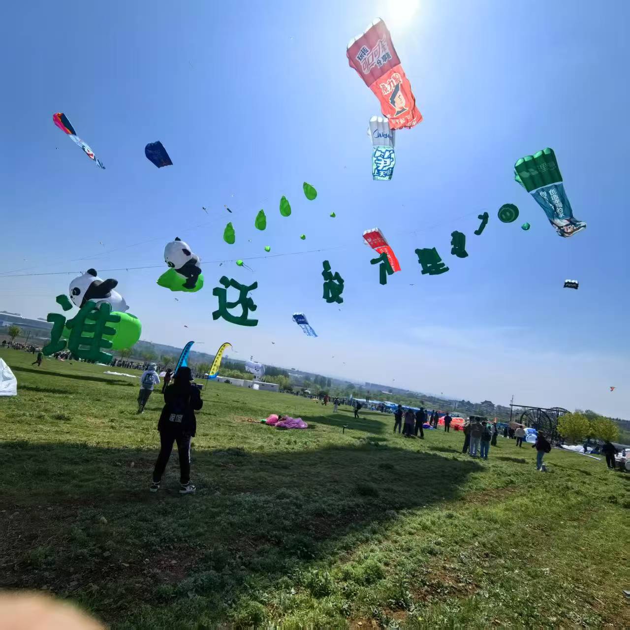 临汾市风筝定制风筝定制 - 排名